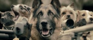 Le dernier chat sur terre attaqué par des chiens armés [Clip WTF de SAF]