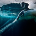 Manchot remonte à la surface. Paul Nicklen : Blast off.