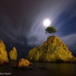 Arbre en haut d'un rocher au clair de lune. Miquel Angel Artus Illana : The cove by moonlight.