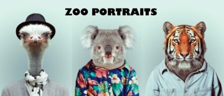 Zoo Portraits : photos d'animaux fashion habillés comme des humains. Autruche avec un foulard et un chapeau melon, Koala en chemise à fleur et tigre avec chemise en jean.
