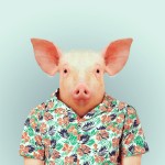 Zoo Portraits : photos d'animaux fashion habillés. Cochon chemise à fleurs.