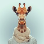 Zoo Portraits : photos d'animaux fashion habillés. Girafe pull en laine et écharpe en fourrure.