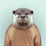 Zoo Portraits : photos d'animaux fashion habillés. Loutre vêtue d'un pull.