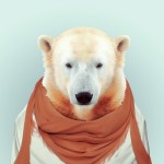 Zoo Portraits : photos d'animaux fashion habillés. Ours blanc porte une écharpe orange.
