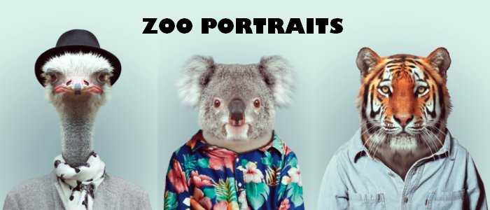 Zoo Portraits : photos d'animaux fashion habillés comme des humains. Autruche avec un foulard et un chapeau melon, Koala en chemise à fleur et tigre avec chemise en jean.