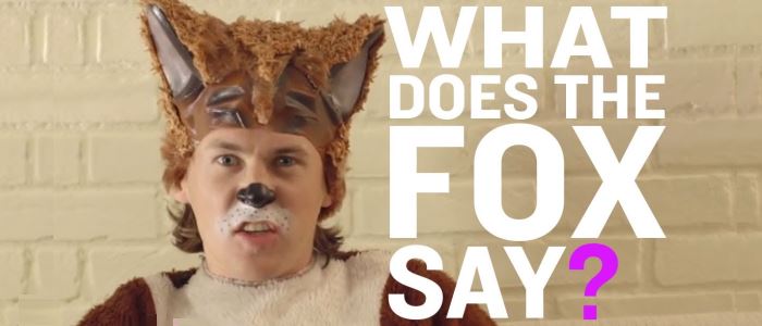 Ylvis - "The Fox" : le clip absurde et délirant de la chanson du renard. Quel est le cri du renard ?