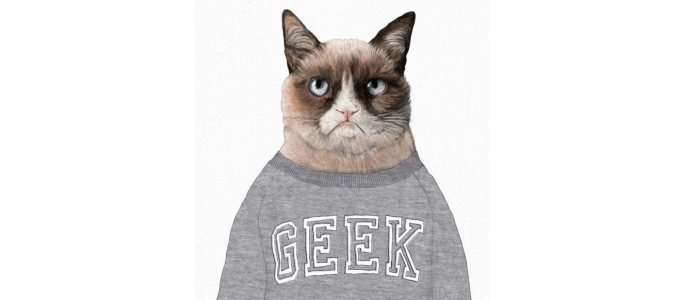 Lolcat Geek : la technologie au service du bien être des chats - grumpy cat