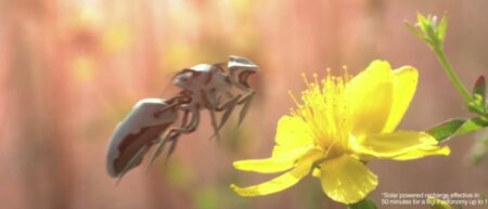 newbees : abeille robot de greenpeace