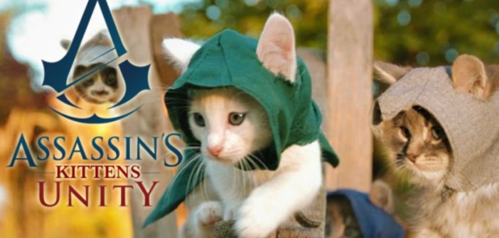 assassin's kittens unity