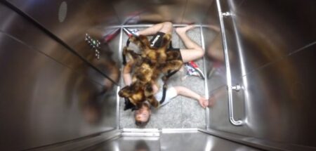 Chien déguisé en araignée géante dans un ascenseur pour une caméra cachée