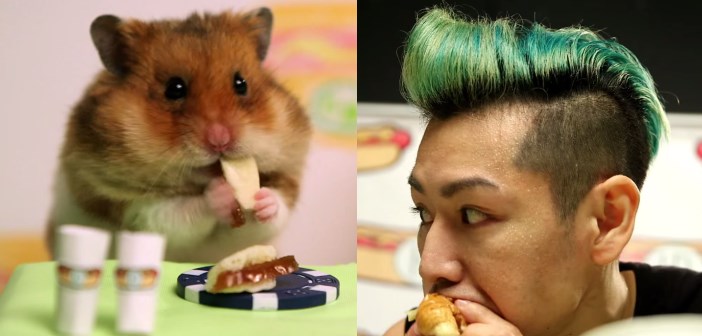 concours hot-dog tiny hamster vs homme