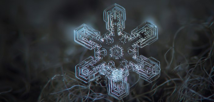 flocon de neige, snowflake