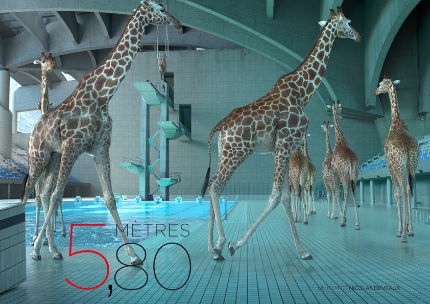 5 mètres 80 par Nicolas Deveaux avec des girafes à la piscine