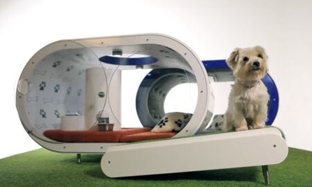 Samsung Dream Doghouse : la niche high-tech pour chien - Crufts 2015