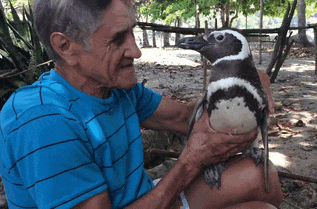 Joao Pereira de Souza avec son meilleur ami le pingouin Dindim