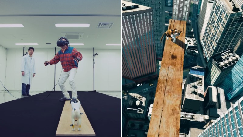 VR Zone : sauvez un chaton en réalite virtuelle