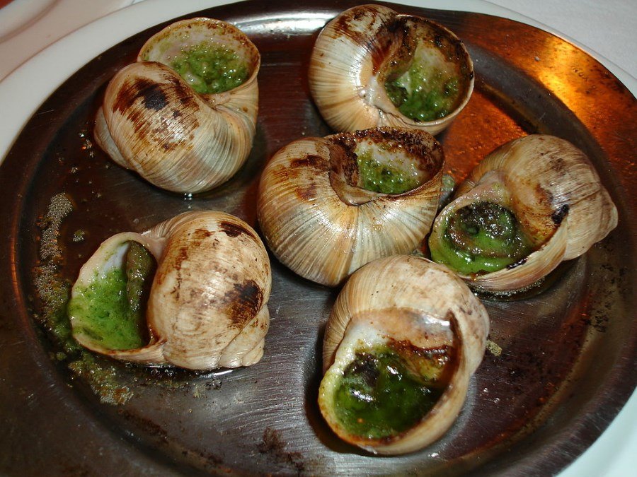 escargots - cuisine française