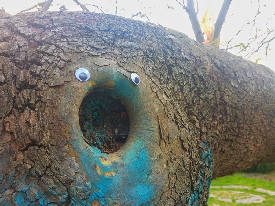 Eyebombing 11 : tronc d'arbre avec des yeux