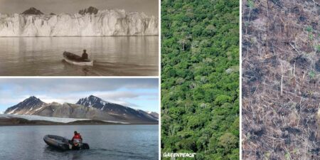 10 years challenge : le détournement écologique de Greenpeace