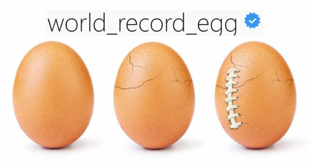 world_record_egg : une éclosion pendant le Super Bowl