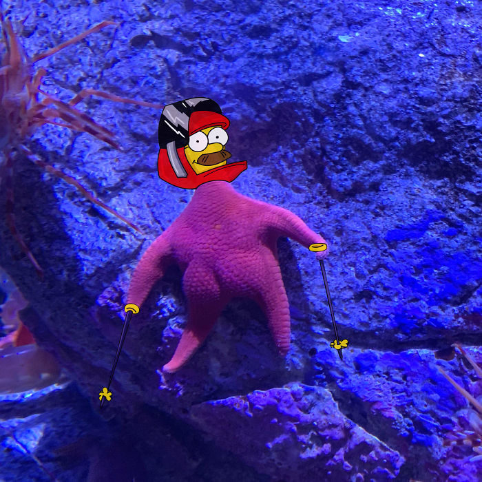 Détournement de l'étoile de mer qui ressemble à Patrick de Bob l'éponge - 09 - simpson