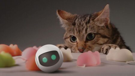 Rollycat : le jouet high-tech pour chat