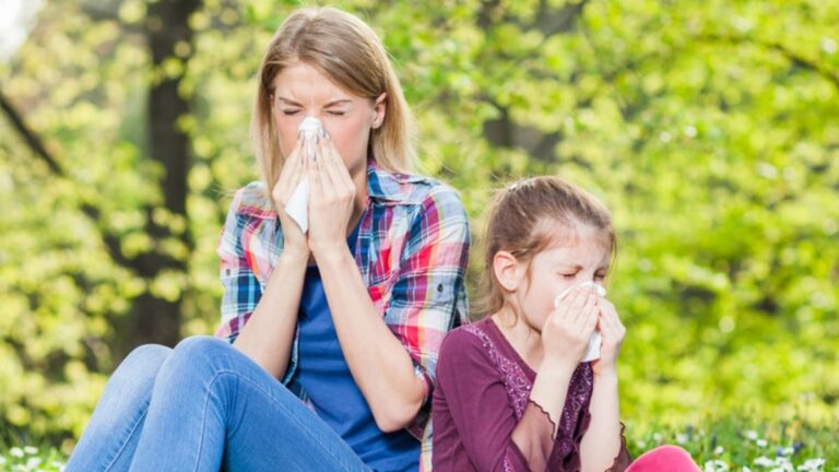 Allergies au pollen | Aliments pour lutter contre les allergies ...