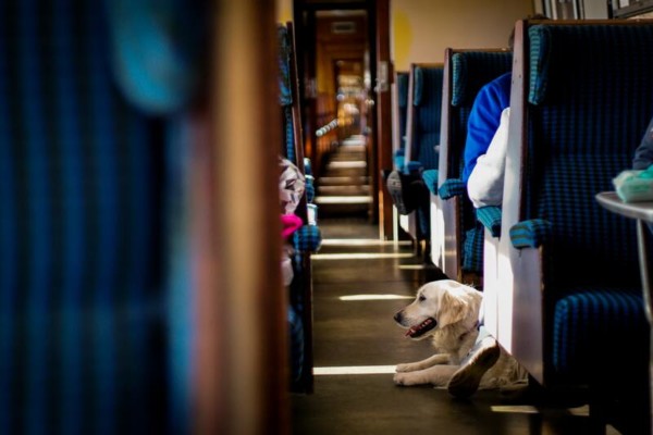 Ouigo de SNCF le billet de train low cost & TGV pas cher