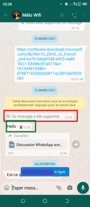 exemple de message supprimé masqué avec GB WhatsApp en vert