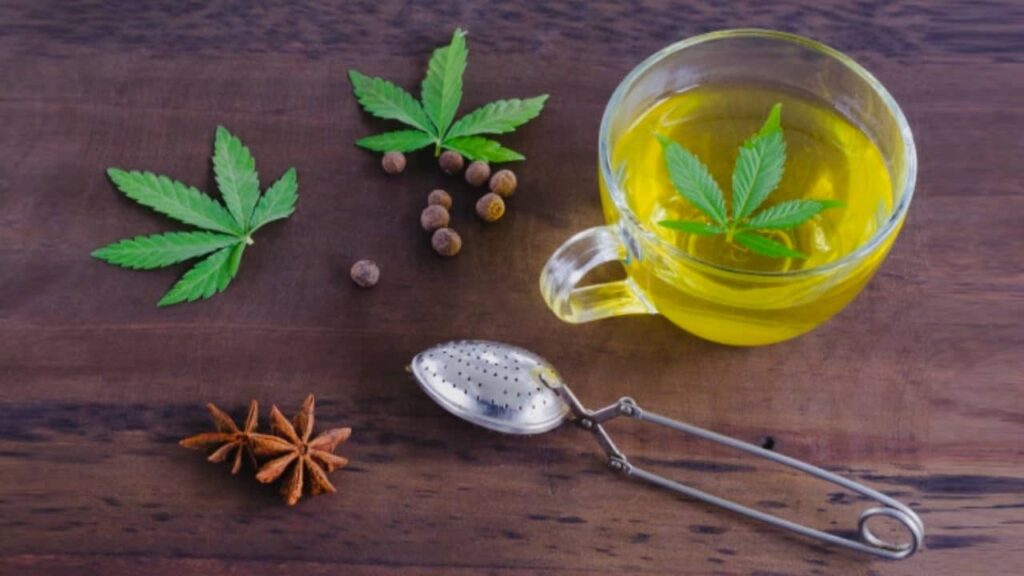 infusion bcd bienfaits