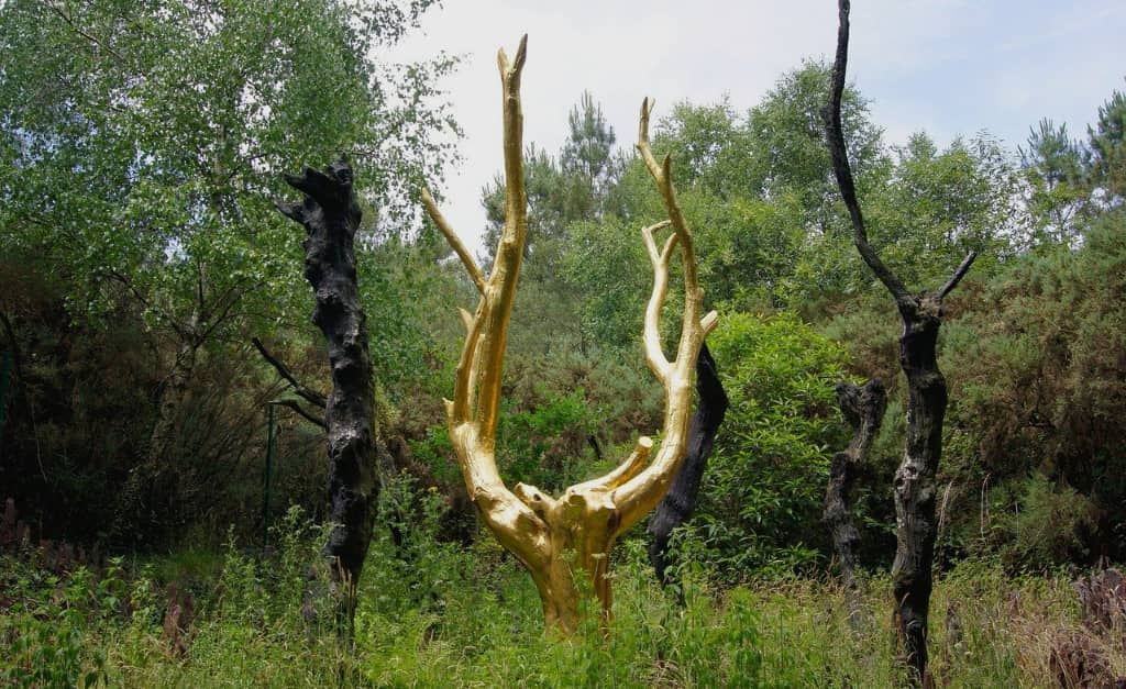 Le mystique arbre d'or situé dans la forêt de Brocéliande en centre Bretagne