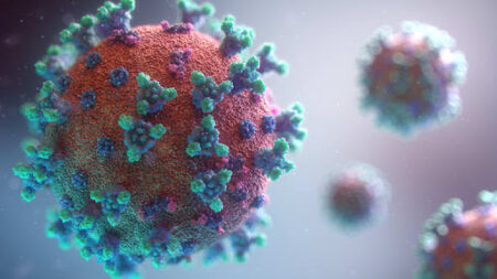 Coronavirus en image