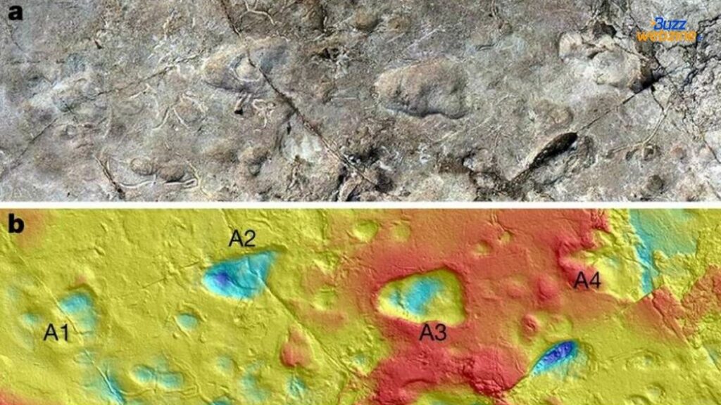 Science : Ces empreintes suspectes datent de 3,7 millions d'années