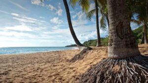Vacances inoubliables en Guadeloupe