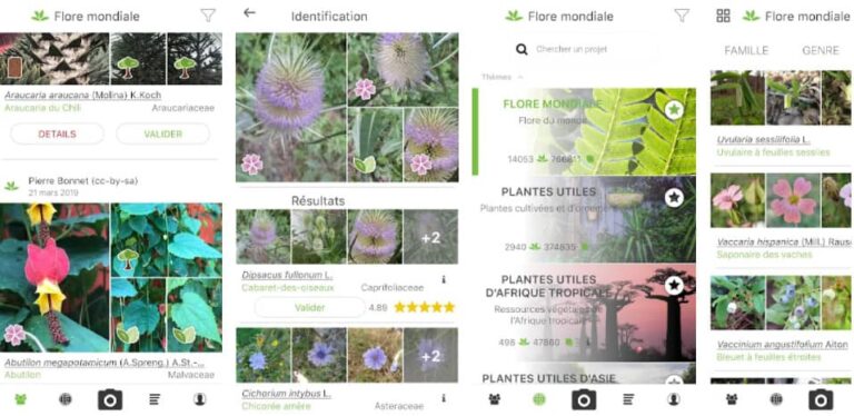 Quelle application gratuite pour reconnaître les plantes