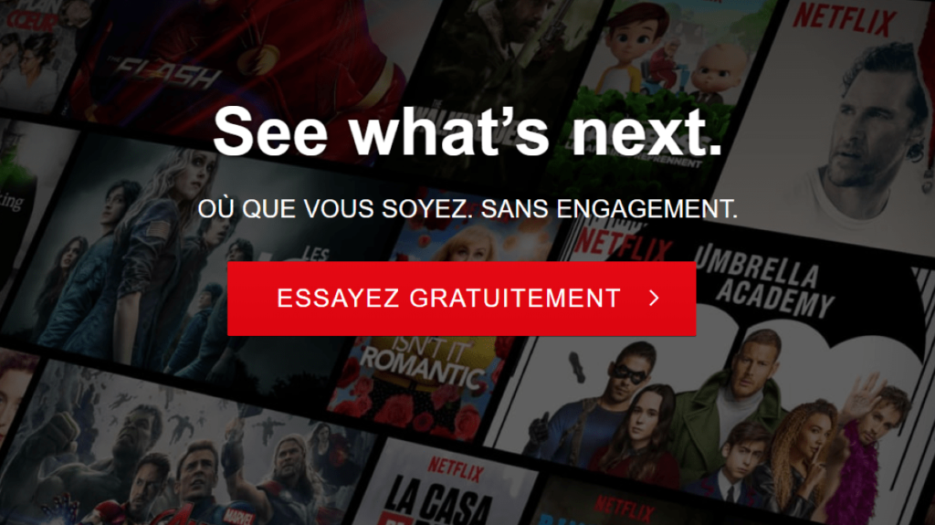 Netflix, la plateforme de streaming vidéo à la demande.