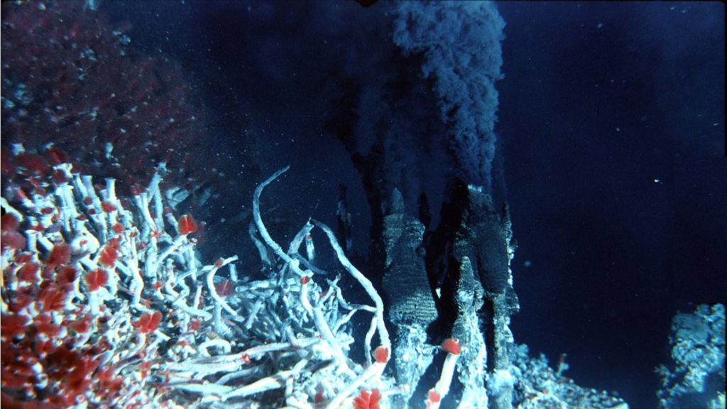 cheminées au fond de la mer