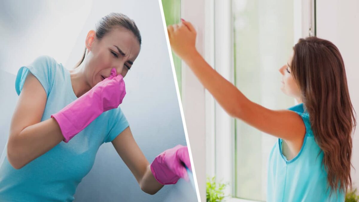 Comment se débarrasser des mauvaises odeurs de la maison