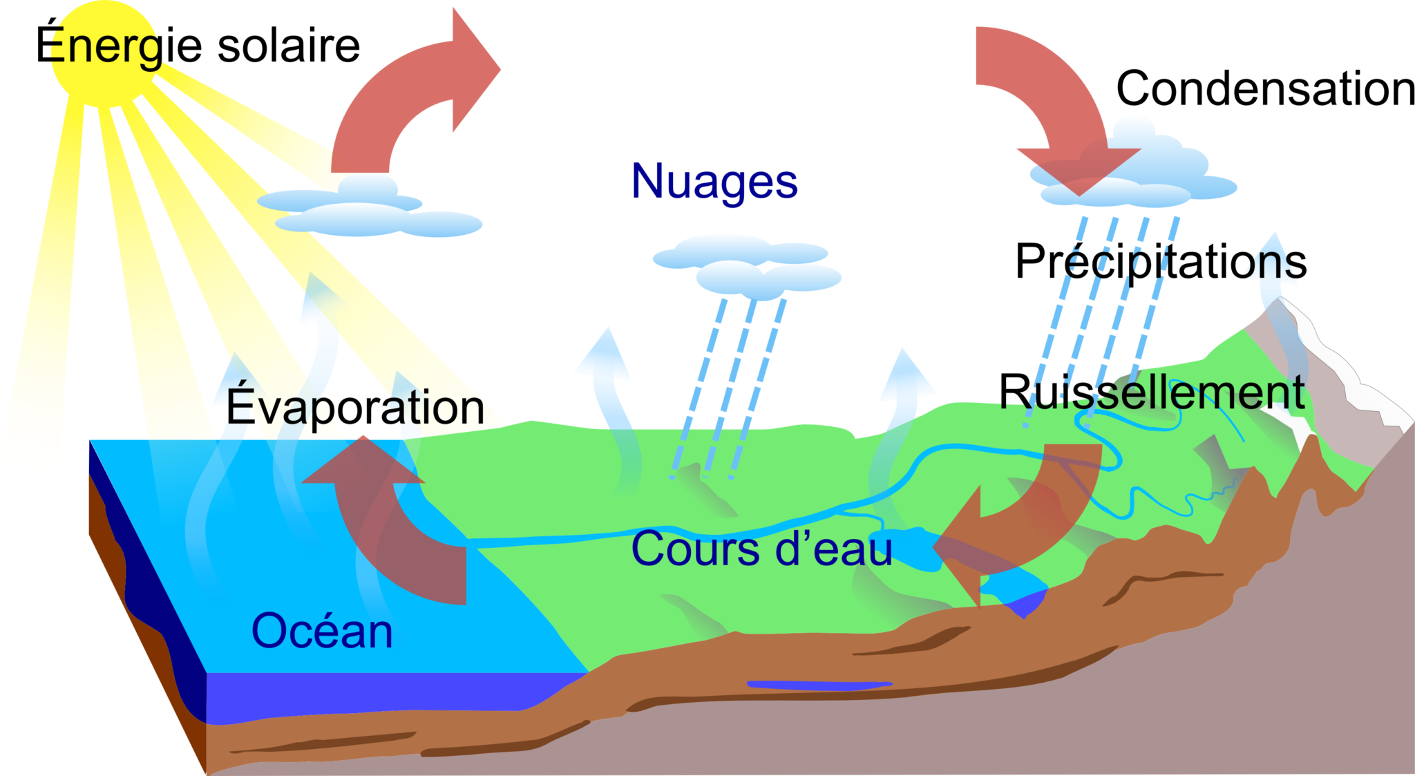 Qu’est-ce qui explique la salinité de la mer