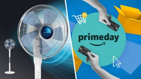 Amazon Prime Day : le ventilateur sur pied Rowenta Turbo Silence Extrême+ en promo