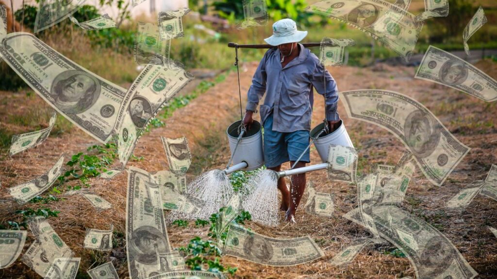 Win Lotto Farmers Money