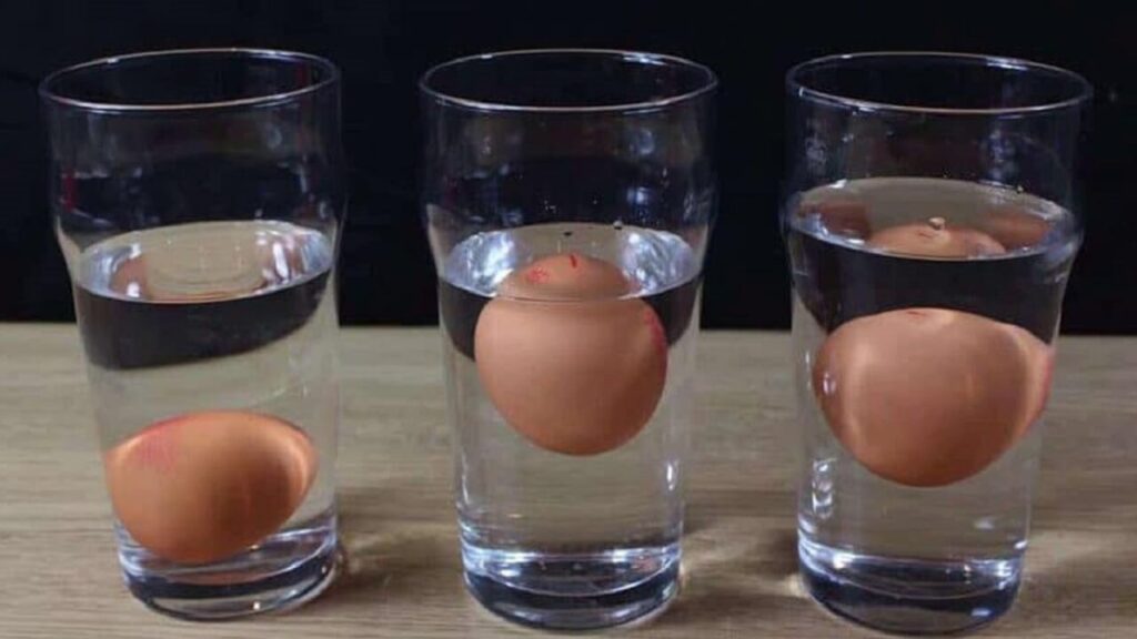 Le test de flottaison d'un œuf