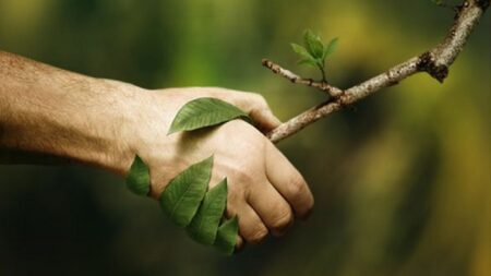 La « cécité des plantes » chez l’homme se soignerait au contact de la nature