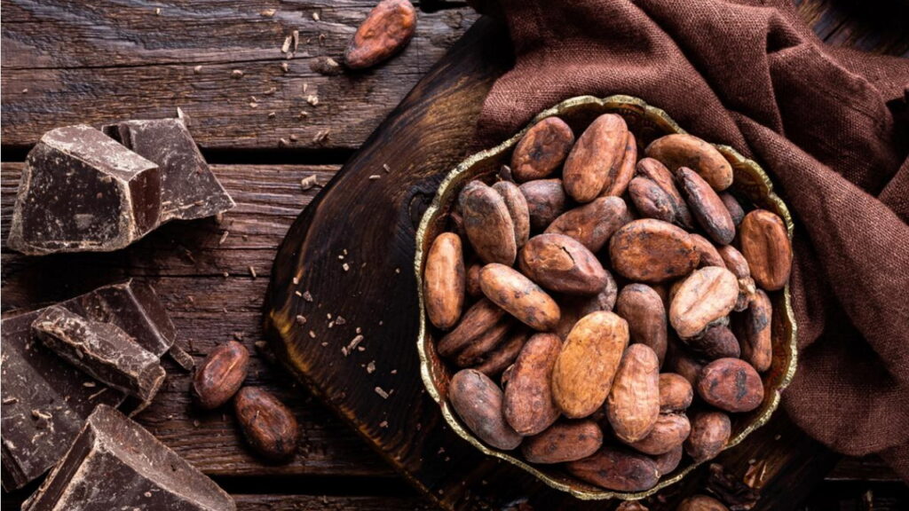 cacao cholestérol