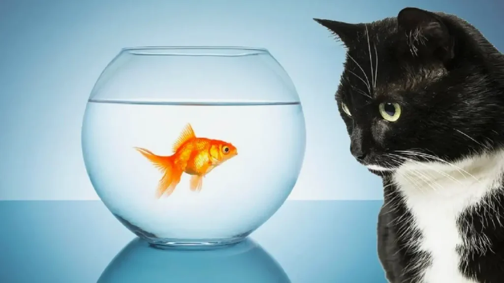 Le chat peut-il cohabiter avec d'autres animaux domestiques ?