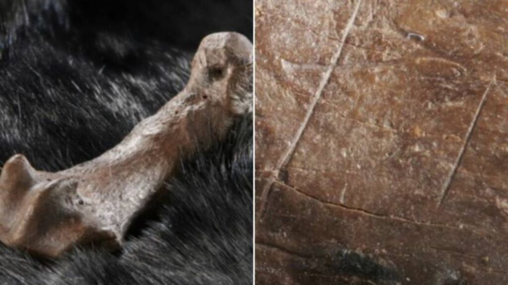 paleolithique premiers hommes vetements science (3)