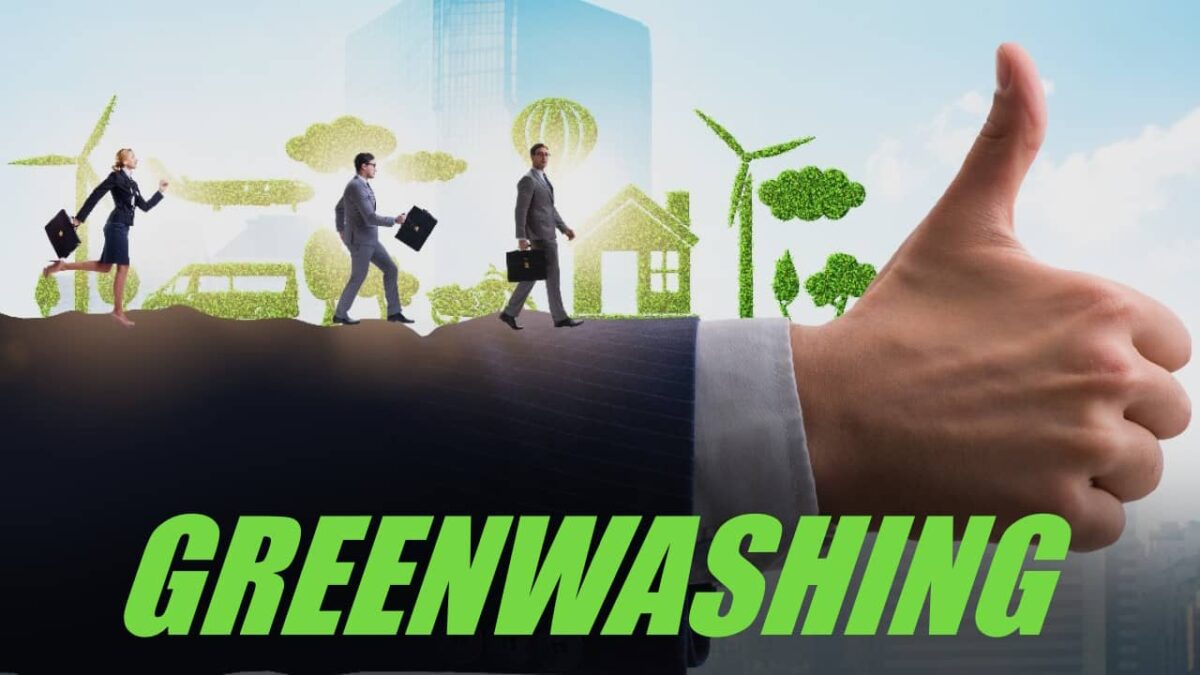 Visual Reference: Faire Du Greenwashing Est Ce Une Bonne Idée