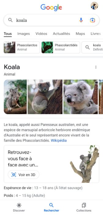 Rechercher Koala