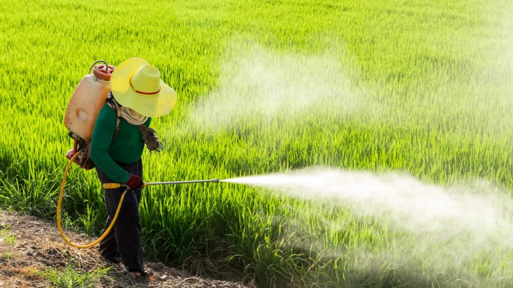 Les pesticides chimiques menacent la santé des pollinisateurs