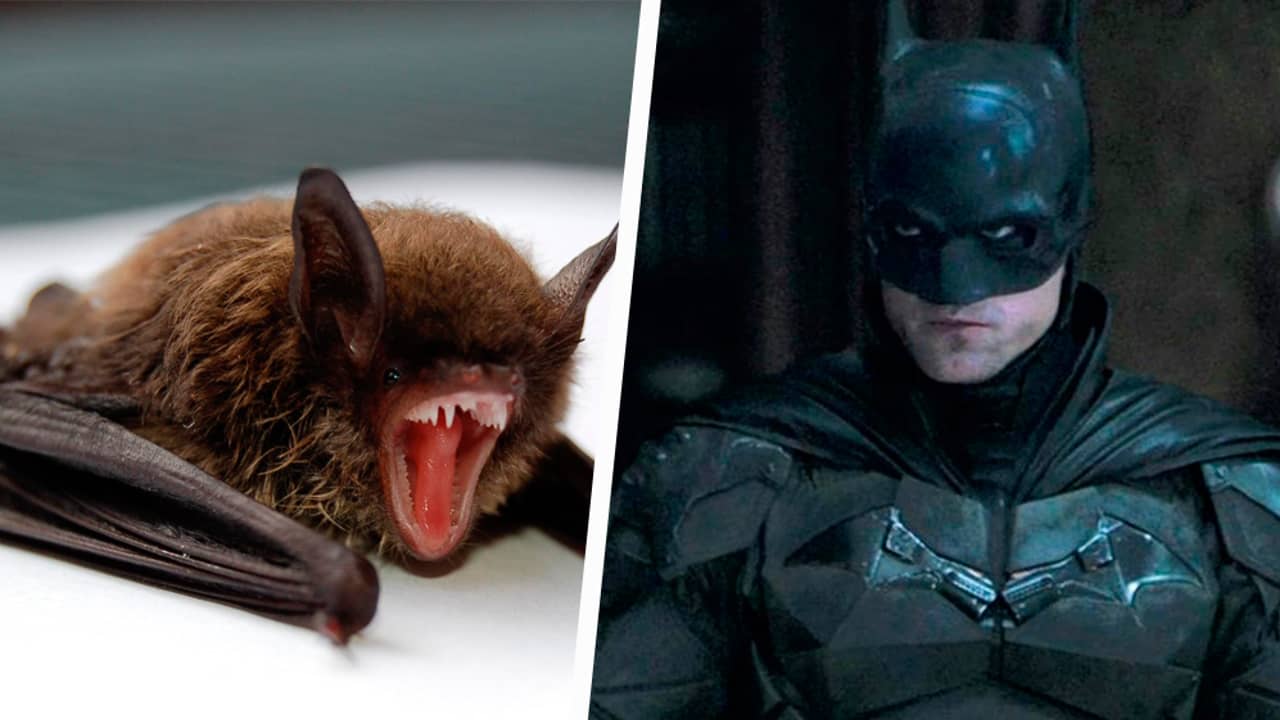 pourquoi-batman-est-le-plus-embl-matique-des-super-h-ros